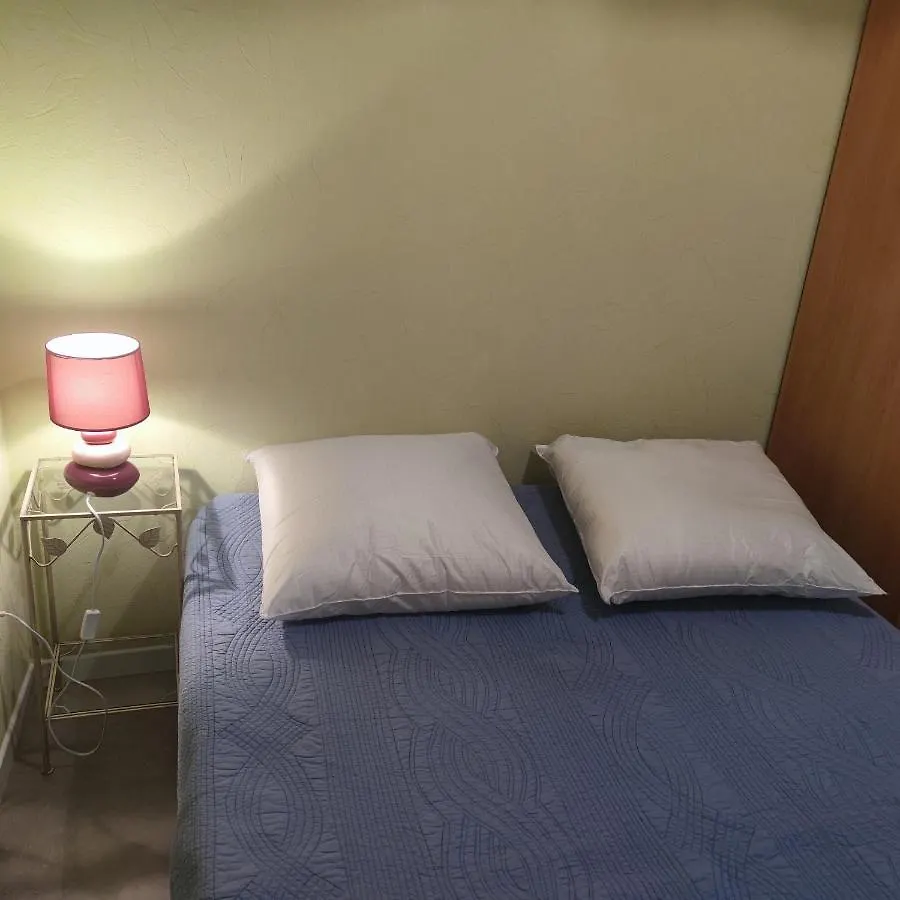 Studio Appartement Centre Ville Brassac-les-Mines Apartment